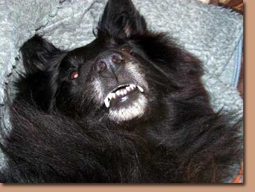 Koko