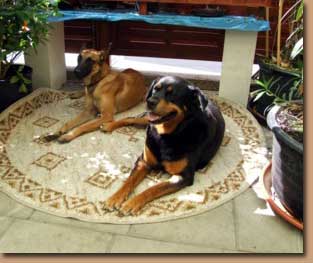 Ulises und Lisa